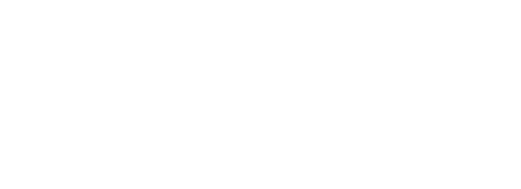stockholmsstad_logotypestandarda3_300ppi_vit